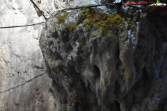 Peștera Dâmbovicioara 72