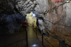 Peștera Dâmbovicioara 73