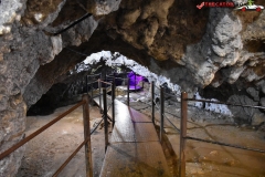 Peștera Dâmbovicioara 74