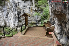 Peștera Dâmbovicioara 78