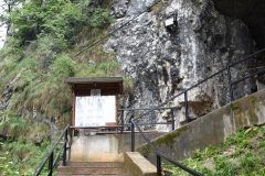 Peștera Dâmbovicioara 82