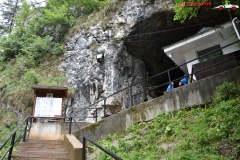 Peștera Dâmbovicioara 84