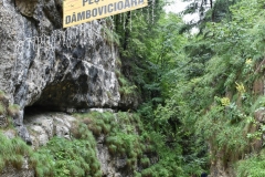 Peștera Dâmbovicioara 87