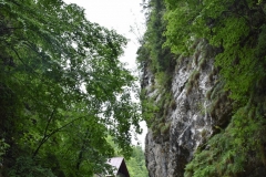 Peștera Dâmbovicioara 90