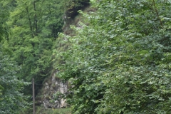 Peștera Dâmbovicioara 91