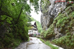 Peștera Dâmbovicioara 93