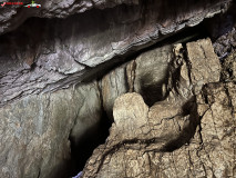 Peștera de la Căput 15