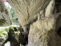 Peștera de la Căput 27