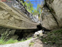 Peștera de la Căput 35