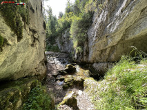 Peștera de la Căput 36