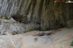 Peștera de la Karlukovo, Bulgaria 101