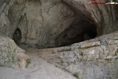 Peștera de la Karlukovo, Bulgaria 102