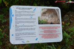 Peștera de la Karlukovo, Bulgaria 12