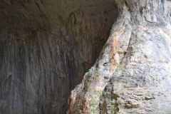 Peștera de la Karlukovo, Bulgaria 26