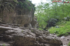 Peștera de la Karlukovo, Bulgaria 83