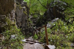 Peștera de la Karlukovo, Bulgaria 85