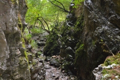 Peștera de la Karlukovo, Bulgaria 86