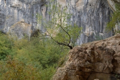 Peștera de la Karlukovo, Bulgaria 97