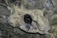 Peștera Dodoconi 25