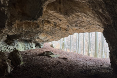 Peștera Dodoconi 37