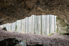 Peștera Dodoconi 40