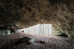 Peștera Dodoconi 41