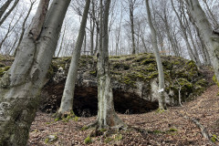 Peștera Dodoconi 54