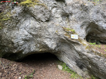 Peștera Dracului 18