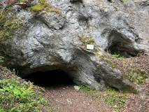 Peștera Dracului 21