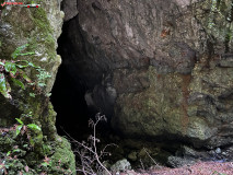 Peștera Gaura Oanei 01