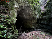 Peștera Gaura Oanei 02
