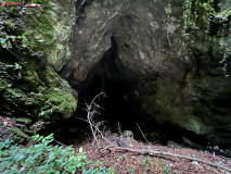 Peștera Gaura Oanei 04