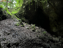 Peștera Gaura Oanei 09