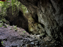 Peștera Gaura Oanei 11