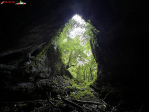 Peștera Gaura Oanei 13