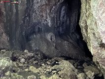 Peștera Gaura Oanei 14