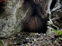 Peștera Gaura Oanei 16