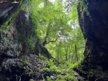 Peștera Gaura Oanei 17