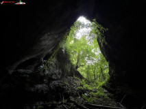 Peștera Gaura Oanei 18