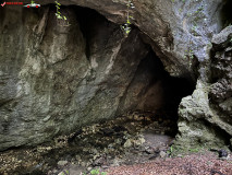 Peștera Gaura Oanei 20