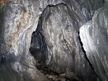 Peștera Gaura Oanei 22