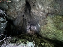 Peștera Gaura Oanei 24