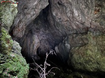 Peștera Gaura Oanei 26