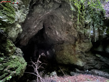 Peștera Gaura Oanei 27