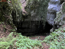 Peștera Gaura Oanei 28