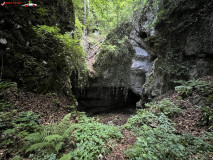 Peștera Gaura Oanei 29