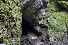 Peștera Ghețarul Scărișoara 113
