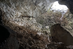 Peștera Humpleu 101