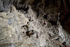 Peștera Humpleu 104
