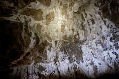 Peștera Humpleu 107